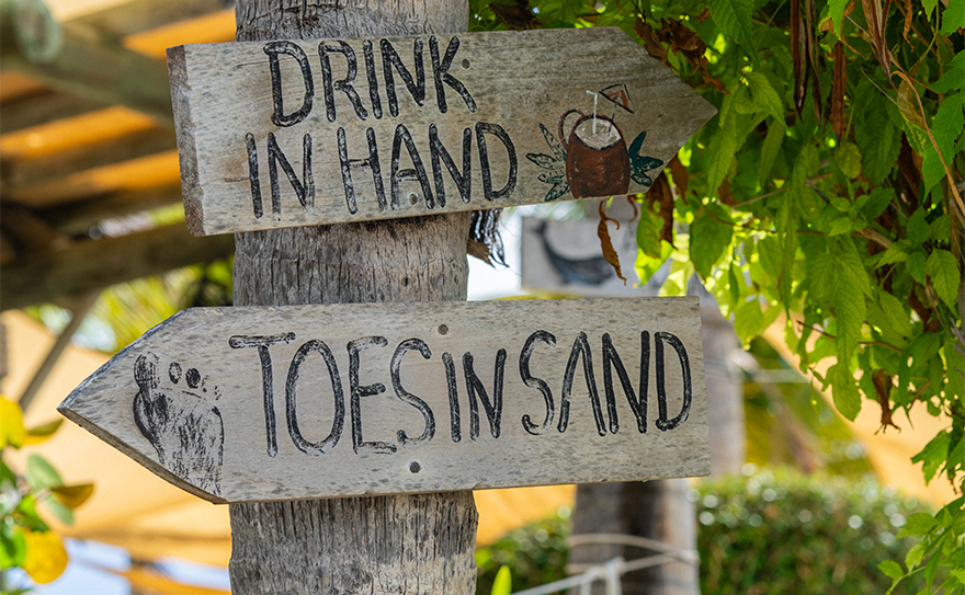A wooden signpost with arrows reading 'Drink in Hand' and 'Toes in Sand,' surrounded by greenery and tropical plants.